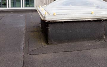 disadvantages of Allwood Green flat roofs