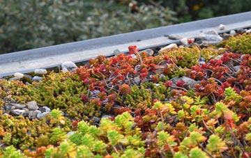 the cost of Allwood Green green roof installation