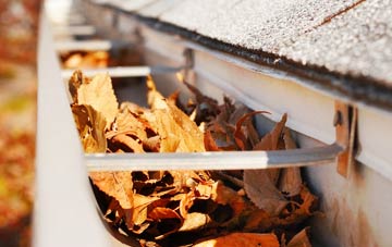 Allwood Green gutter cleaning companies