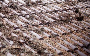 Allwood Green roof cleaning companies